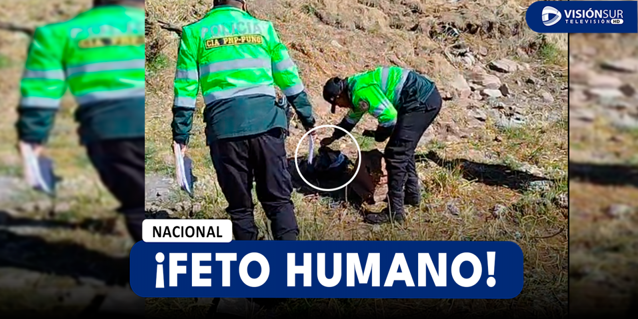 NACIONAL: TRABAJADORA DE LIMPIEZA ENCUENTRA FETO HUMANO EN LA ORILLA DEL LAGO TITICACA