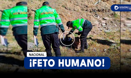 NACIONAL: TRABAJADORA DE LIMPIEZA ENCUENTRA FETO HUMANO EN LA ORILLA DEL LAGO TITICACA