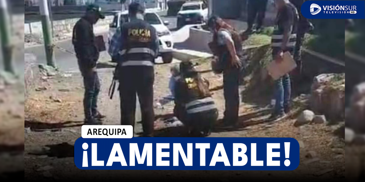 AREQUIPA: HALLAN EL CUERPO SIN VIDA DE UN FETO AL INTERIOR DE UN TAPER EN UN DESCAMPADO DE TIABAYA