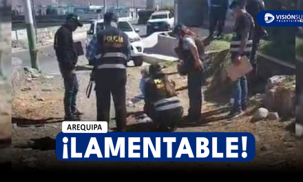 AREQUIPA: HALLAN EL CUERPO SIN VIDA DE UN FETO AL INTERIOR DE UN TAPER EN UN DESCAMPADO DE TIABAYA