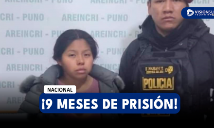 AREQUIPA: DICTAN 9 MESES DE PRISIÓN PREVENTIVA CONTRA MUJER QUE ENVENENO A SUS DOS HIJOS GEMELOS DE 4 AÑOS