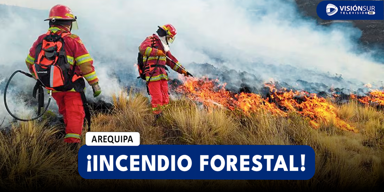 AREQUIPA: SE HAN REGISTRADO 47 INCENDIOS FORESTALES EN LO QUE VA DEL 2024 Y MÁS DE 2 MIL HECTÁREAS AFECTADAS