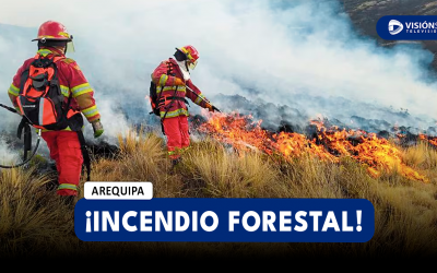 AREQUIPA: SE HAN REGISTRADO 47 INCENDIOS FORESTALES EN LO QUE VA DEL 2024 Y MÁS DE 2 MIL HECTÁREAS AFECTADAS