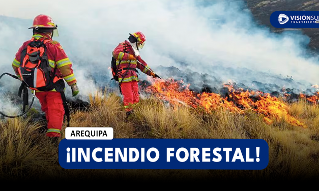 AREQUIPA: SE HAN REGISTRADO 47 INCENDIOS FORESTALES EN LO QUE VA DEL 2024 Y MÁS DE 2 MIL HECTÁREAS AFECTADAS