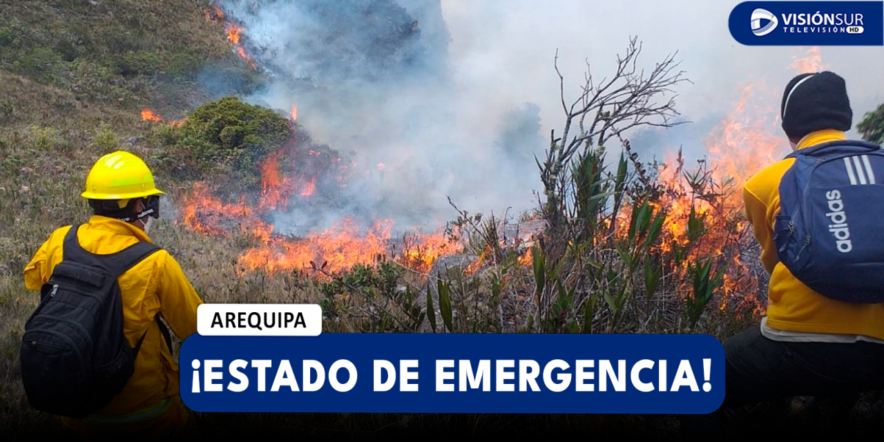 NACIONAL: PRESIDENTA DINA BOLUARTE DECLARA EN ESTADO DE EMERGENCIA TRAS GRANDES INCENDIOS FORESTALES