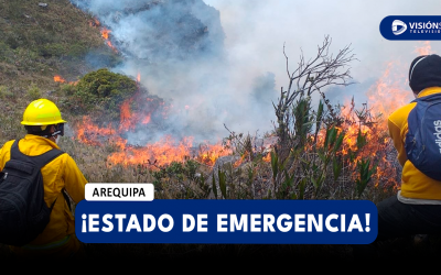 NACIONAL: PRESIDENTA DINA BOLUARTE DECLARA EN ESTADO DE EMERGENCIA TRAS GRANDES INCENDIOS FORESTALES