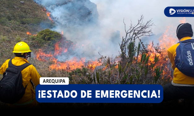 NACIONAL: PRESIDENTA DINA BOLUARTE DECLARA EN ESTADO DE EMERGENCIA TRAS GRANDES INCENDIOS FORESTALES