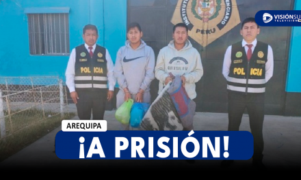 AREQUIPA: DICTAN 8 MESES DE PRISIÓN PREVENTIVA CONTRA SOLDADO Y SU AMIGO POR EL PRESUNTO DELITO DE HOMICIDIO