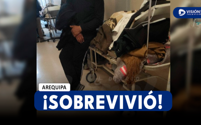 AREQUIPA: VARÓN FUE LLEVADO DE EMERGENCIA DESDE APLAO HACIA EL HOSPITAL HONORIO DELGADO LUEGO DE EXPLOSIÓN