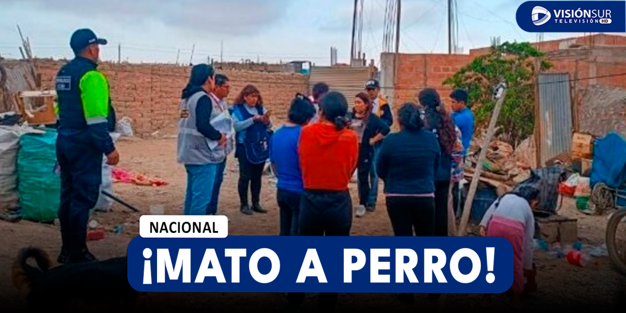 NACIONAL: VARÓN APUÑALA 16 VECES A PERRO QUE HABRÍA MORDIDO A SU MASCOTA Y ESCENA FUE VISTA POR MENOR DE EDAD