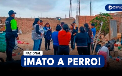 NACIONAL: VARÓN APUÑALA 16 VECES A PERRO QUE HABRÍA MORDIDO A SU MASCOTA Y ESCENA FUE VISTA POR MENOR DE EDAD