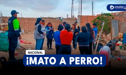 NACIONAL: VARÓN APUÑALA 16 VECES A PERRO QUE HABRÍA MORDIDO A SU MASCOTA Y ESCENA FUE VISTA POR MENOR DE EDAD