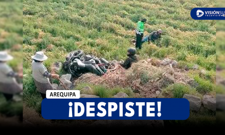 AREQUIPA: DOS VARONES SE DESPISTARON CON SU MOTOCICLETA EN EL DISTRITO DE CAYMA Y CAYERON 5 METROS A UNA ZONA AGRÍCOLA