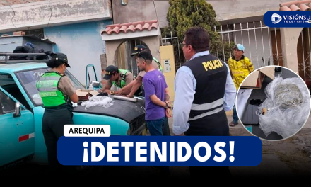 AREQUIPA: EFECTIVOS DE LA PNP CAPTURAN A INTEGRANTES DE LA BANDA “HIERBA FRESCA DE HUNTER” CON 200 GRAMOS DE CANNABIS SATIVA