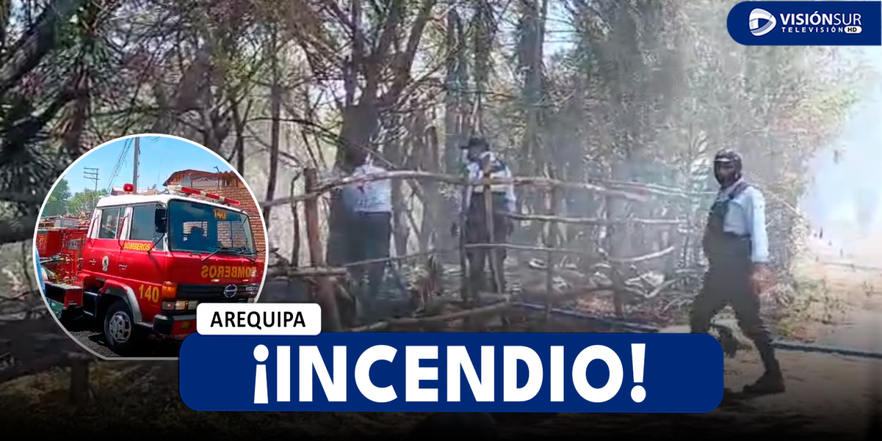 AREQUIPA: INCENDIO SE REGISTRA EN LA RIBERA DEL RIO CHILI EN EL SECTOR DE VALLECITO EN EL CERCADO DE AREQUIPA