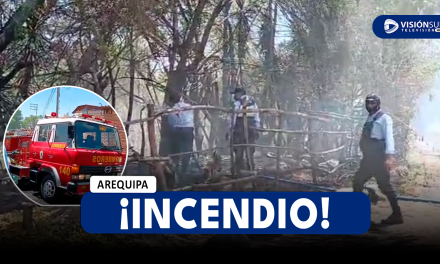 AREQUIPA: INCENDIO SE REGISTRA EN LA RIBERA DEL RIO CHILI EN EL SECTOR DE VALLECITO EN EL CERCADO DE AREQUIPA