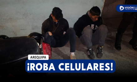 AREQUIPA: DETIENEN A DOS VARONES QUE SERÍAN PARTE DE UNA BANDA CRIMINAL DE ROBA CELULARES EN YANAHUARA