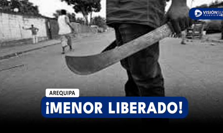 AREQUIPA: MENOR DE EDAD QUE AGREDIÓ A SU PADRE CON UN MACHETE PARA PROTEGER A SU MADRE FUE LIBERADO