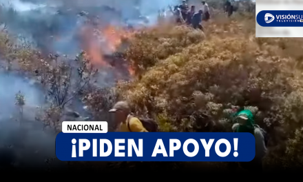 NACIONAL: FUERTES INCENDIOS FORESTALES SE REGISTRAN EN LA REGIÓN DE PIURA Y POBLADORES PIDEN APOYO PARA APAGARLOS