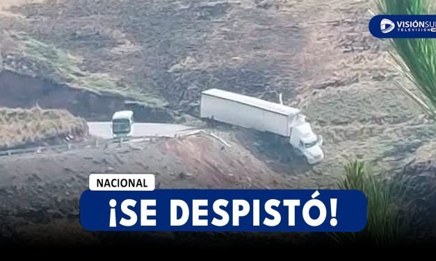 NACIONAL: CAMIÓN DE LA EMPRESA SCADI TERMINA AL COSTADO DE LA VÍA TRAS DESPISTA EN LA RUTA SICUANI – ESPINAR