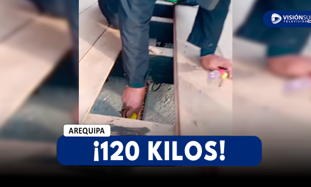 AREQUIPA: INCAUTAN 120 KILOS DE ALCALOIDE DE COCAÍNA ESCONDIDOS EN UN CAMIÓN EN LA JOYA