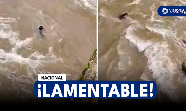 NACIONAL: MADRE DE FAMILIA PIERDE LA VIDA JUNTO A SU MENOR HIJO DE 8 AÑOS TRAS CAER AL RÍO CHONTA EN CAJAMARCA