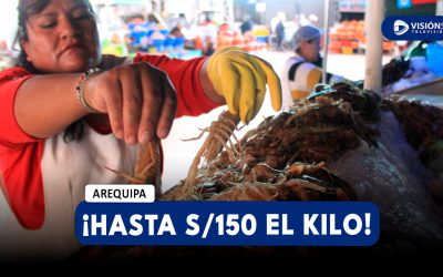 AREQUIPA: PRECIO DEL CAMARÓN LLEGA HASTA LOS S/150 EL KILOGRAMO EN DIFERENTES MERCADOS DE LA CIUDAD