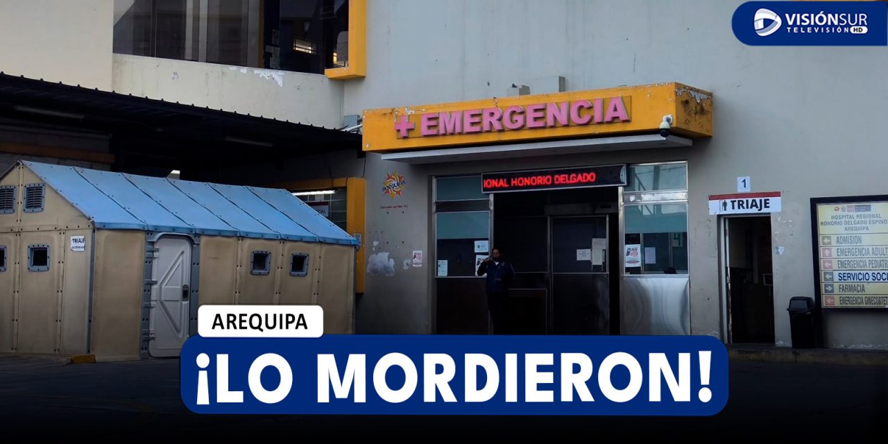 AREQUIPA: JOVEN ES MORDIDO POR DELINCUENTES PARA ROBARLE SUS PERTENENCIAS EN SOCABAYA