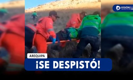 AREQUIPA: DOS POLICÍAS TERMINAN GRAVEMENTE HERIDOS LUEGO DE QUE PATRULLERO SE DESPISTARA EN TORO MUERTO