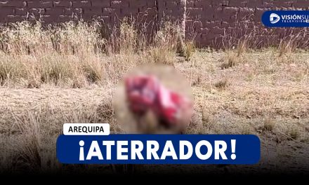 NACIONAL: ENCUENTRAN EL CUERPO SIN VIDA DE UNA MUJER AL INTERIOR DE DOS SACOS EN JULIACA