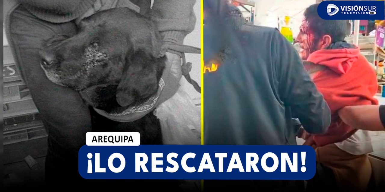 AREQUIPA: COMERCIANTES DEL MERCADO SAN CAMILO RESCATAN A PERRITO QUE ERA MALTRATADO POR EXTRANJERO