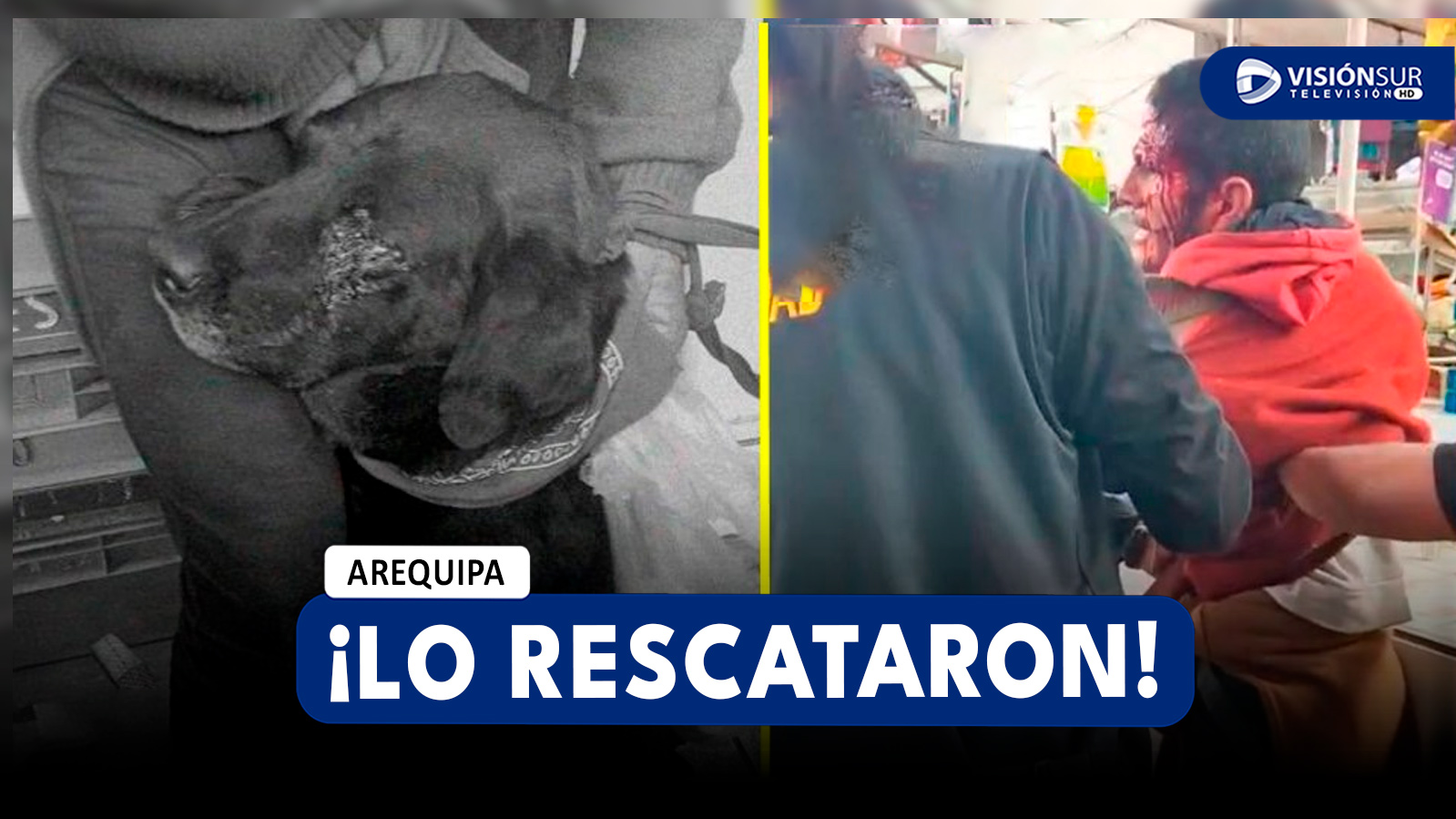 AREQUIPA: COMERCIANTES DEL MERCADO SAN CAMILO RESCATAN A PERRITO QUE ERA MALTRATADO POR EXTRANJERO