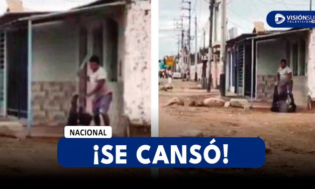 NACIONAL: TRANSPORTISTA HARTO DE LOS ATAQUES DE LOS EXTRANJEROS CAPTURÓ A UNO DE ELLOS Y LO GOLPEO CON UN MACHETE 14 VECES
