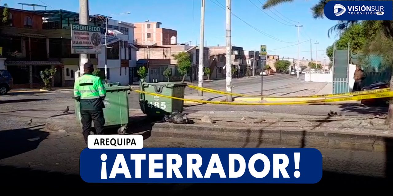 AREQUIPA: ENCUENTRAN FETO AL INTERIOR DE LA BASURA EN CERRO COLORADO
