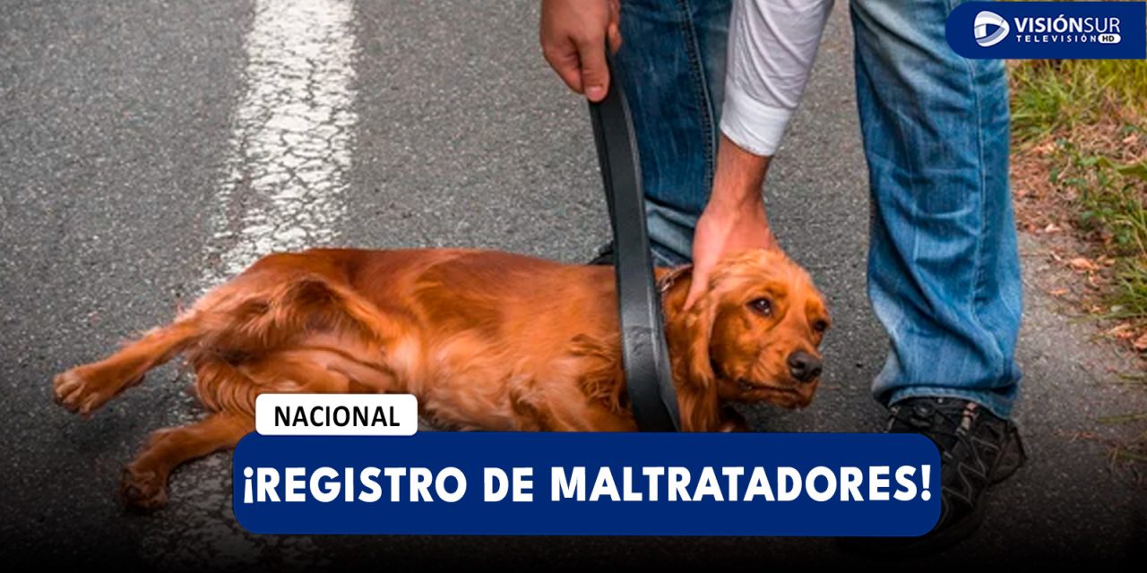 NACIONAL: PROPONEN CREAR REGISTRO NACIONAL DE MALTRATADORES DE ANIMALES PARA EVITAR QUE TENGAN O ADOPTEN MASCOTAS