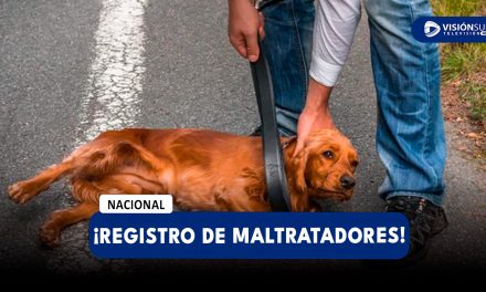 NACIONAL: PROPONEN CREAR REGISTRO NACIONAL DE MALTRATADORES DE ANIMALES PARA EVITAR QUE TENGAN O ADOPTEN MASCOTAS