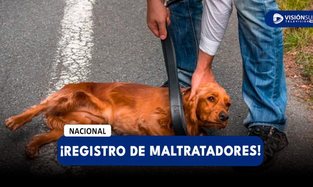 NACIONAL: PROPONEN CREAR REGISTRO NACIONAL DE MALTRATADORES DE ANIMALES PARA EVITAR QUE TENGAN O ADOPTEN MASCOTAS