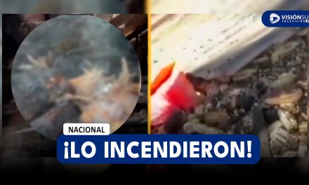 NACIONAL: DELINCUENTES INCENDIAN GRANJA DE AGRICULTORA EN HUANCAYO TRAS NO CAER EN SU EXTORSIÓN