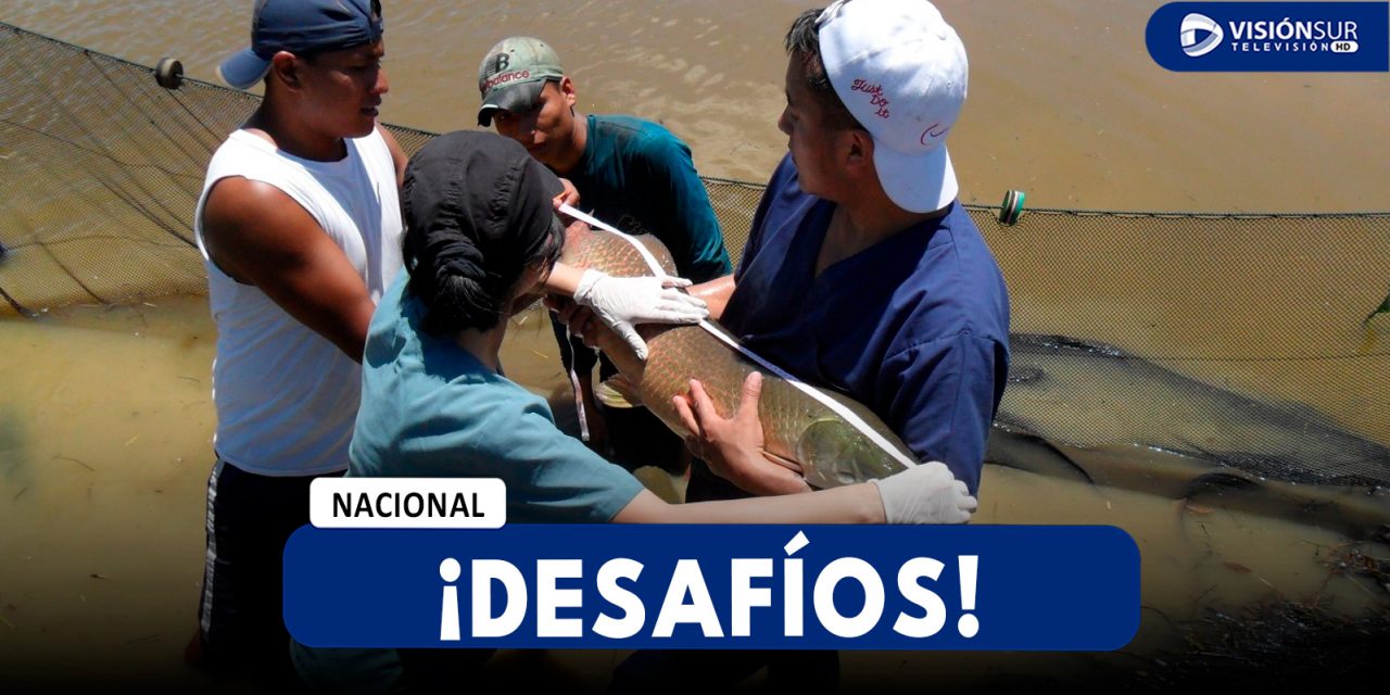 NACIONAL: CINCO DESAFÍOS PÚBLICOS DE INNOVACIÓN BUSCAN RESOLVER PROBLEMAS CRÍTICOS DEL PAÍS CON FINANCIAMIENTO DE HASTA S/ 893 MIL