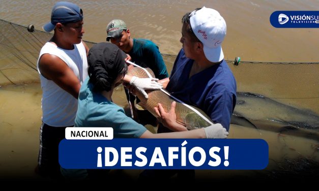 NACIONAL: CINCO DESAFÍOS PÚBLICOS DE INNOVACIÓN BUSCAN RESOLVER PROBLEMAS CRÍTICOS DEL PAÍS CON FINANCIAMIENTO DE HASTA S/ 893 MIL