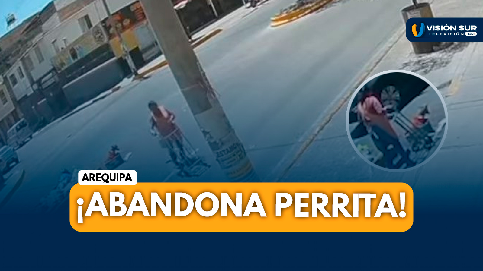 AREQUIPA: VENDEDORA ABANDONA A PERRITA EN GRAVE ESTADO EN UN PUNTO DE BASURA DEL MERCADO LAS CONVENCIONES