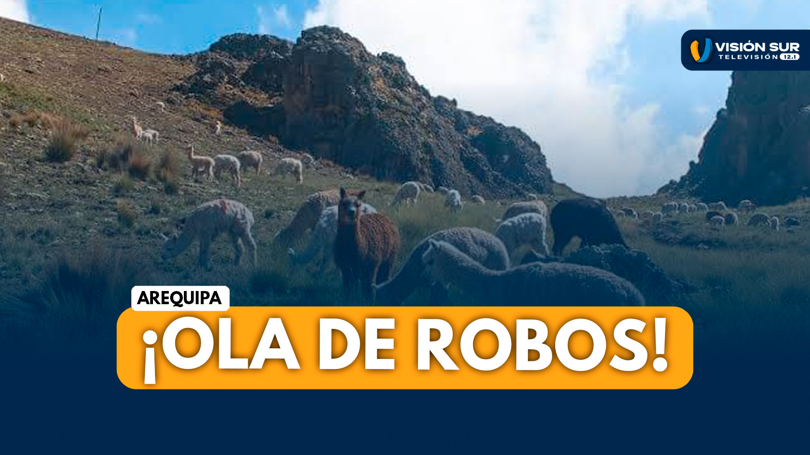 AREQUIPA: CAYLLOMA EN ALERTA: BANDA ARMADA DESATA OLA DE ROBOS Y ABIGEATO EN ESTANCIAS GANADERAS