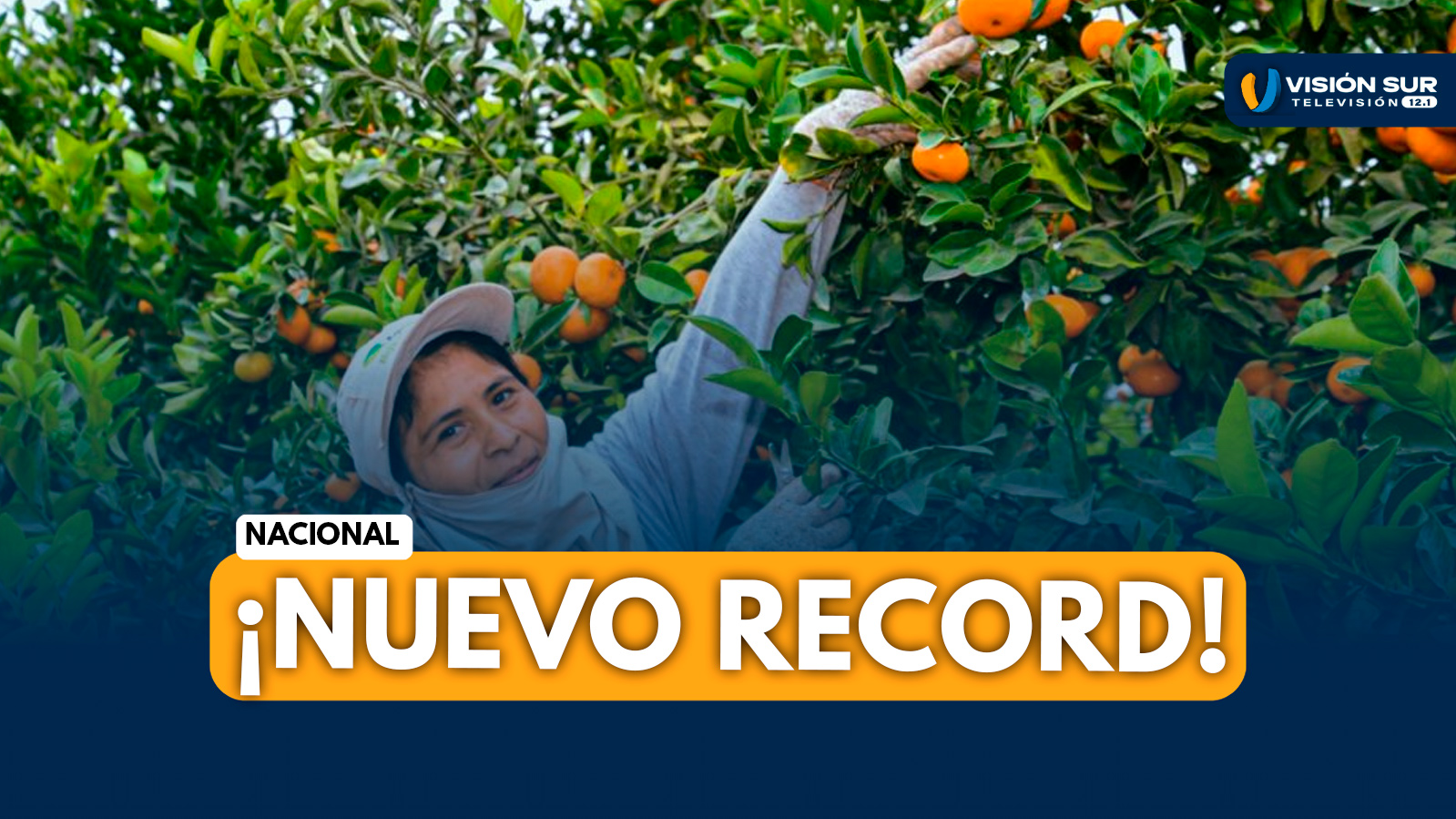NACIONAL: PERÚ LOGRA RÉCORD HISTÓRICO EN AGROEXPORTACIONES Y ENVÍA 540 PRODUCTOS A 115 MERCADOS INTERNACIONALES