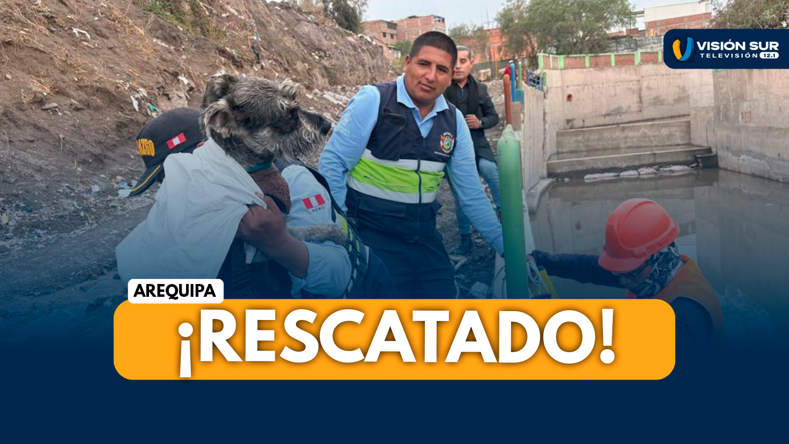 AREQUIPA: SERENAZGO DE PAUCARPATA RESCATA A PERRO ATRAPADO TRAS INTENSAS LLUVIAS EN VILLA BELÉN