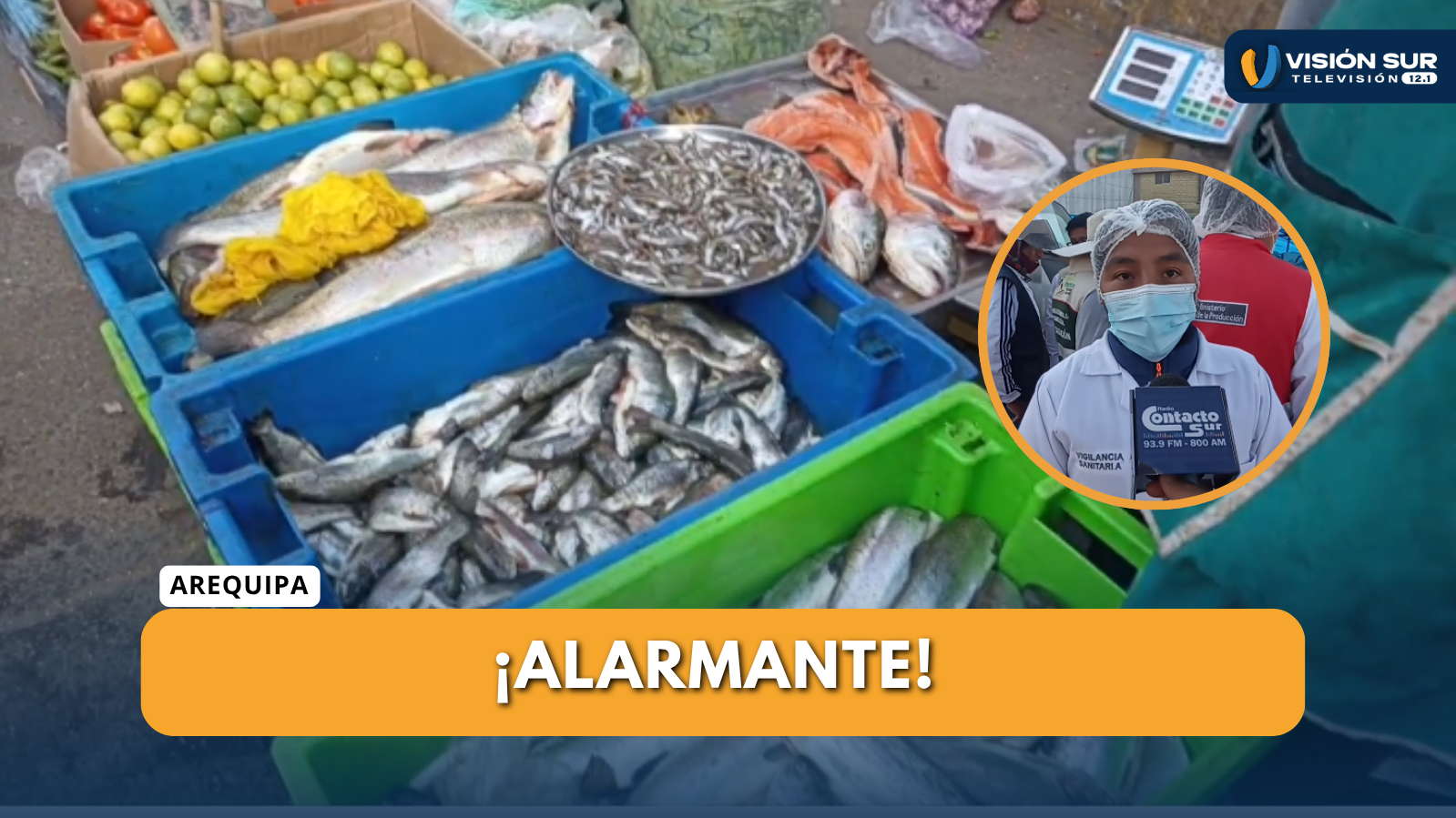 DECOMISAN MÁS DE 10 KILOS DE TRUCHA EN RÍO SECO POR FALTA DE SALUBRIDAD