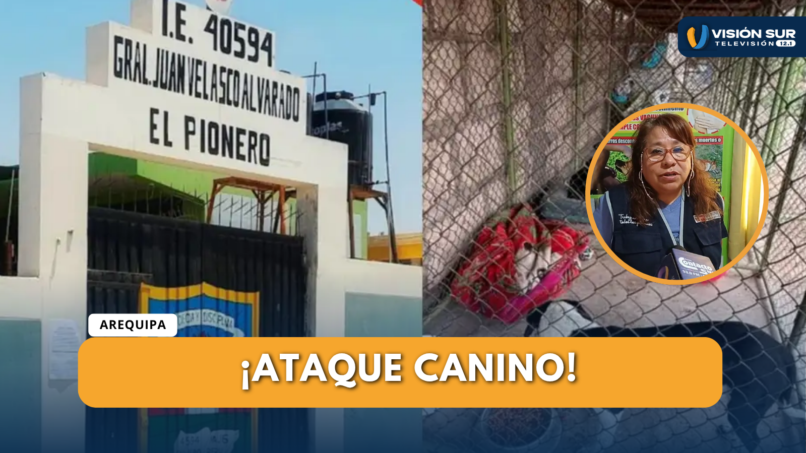 CAN MORDIÓ A 15 ESCOLARES EN INSTITUCIÓN EDUCATIVA JUAN VELASCO ALVARADO EN  MAJES