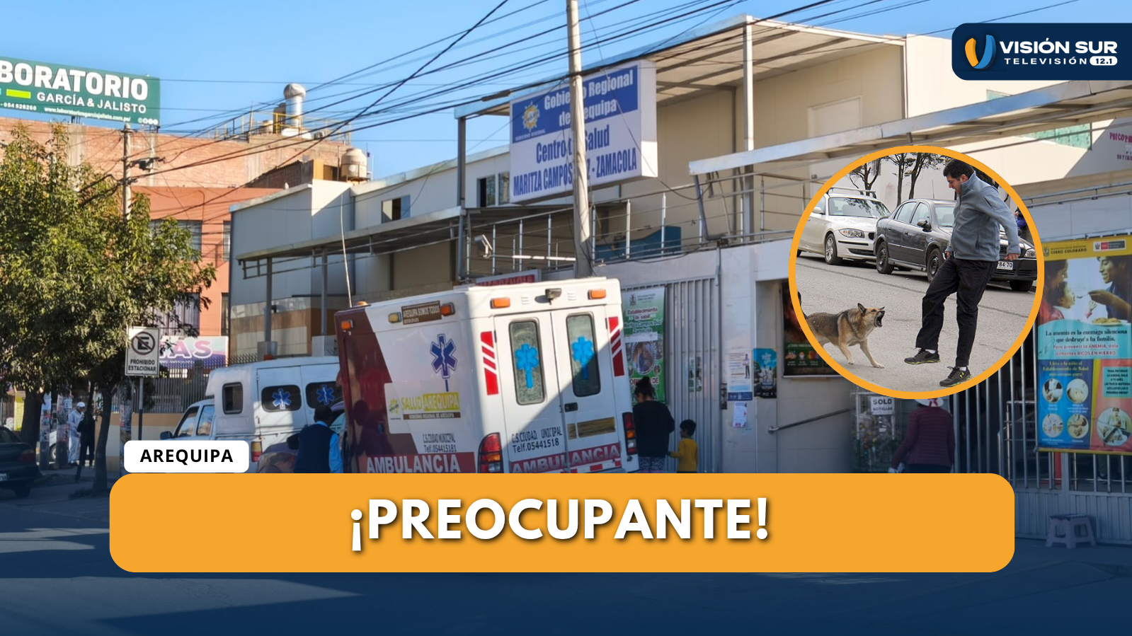 CONO NORTE: DOS ATAQUES DE PERROS EN MENOS DE 12 HORAS DEJAN HERIDOS EN YURA Y CERRO COLORADO 