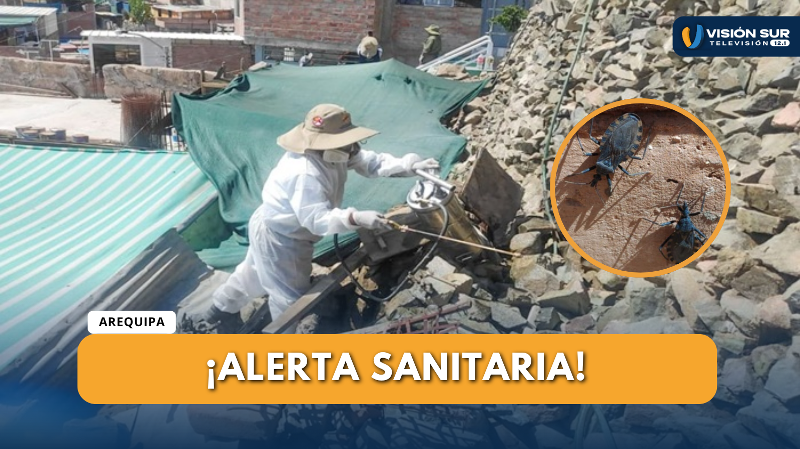 PRESENCIA DE CHIRIMACHAS EN VIVIENDAS DEL DISTRITO DE TIABAYA 