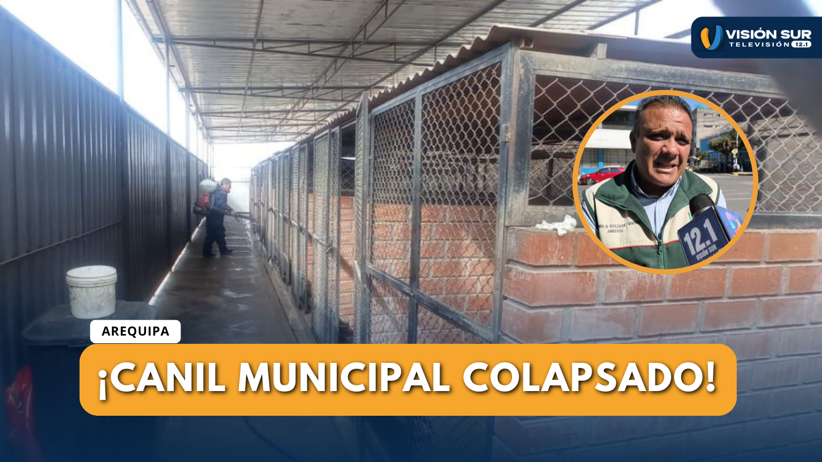 CANIL MUNICIPAL DE CERRO COLORADO SUPERA CAPACIDAD MÁXIMA 