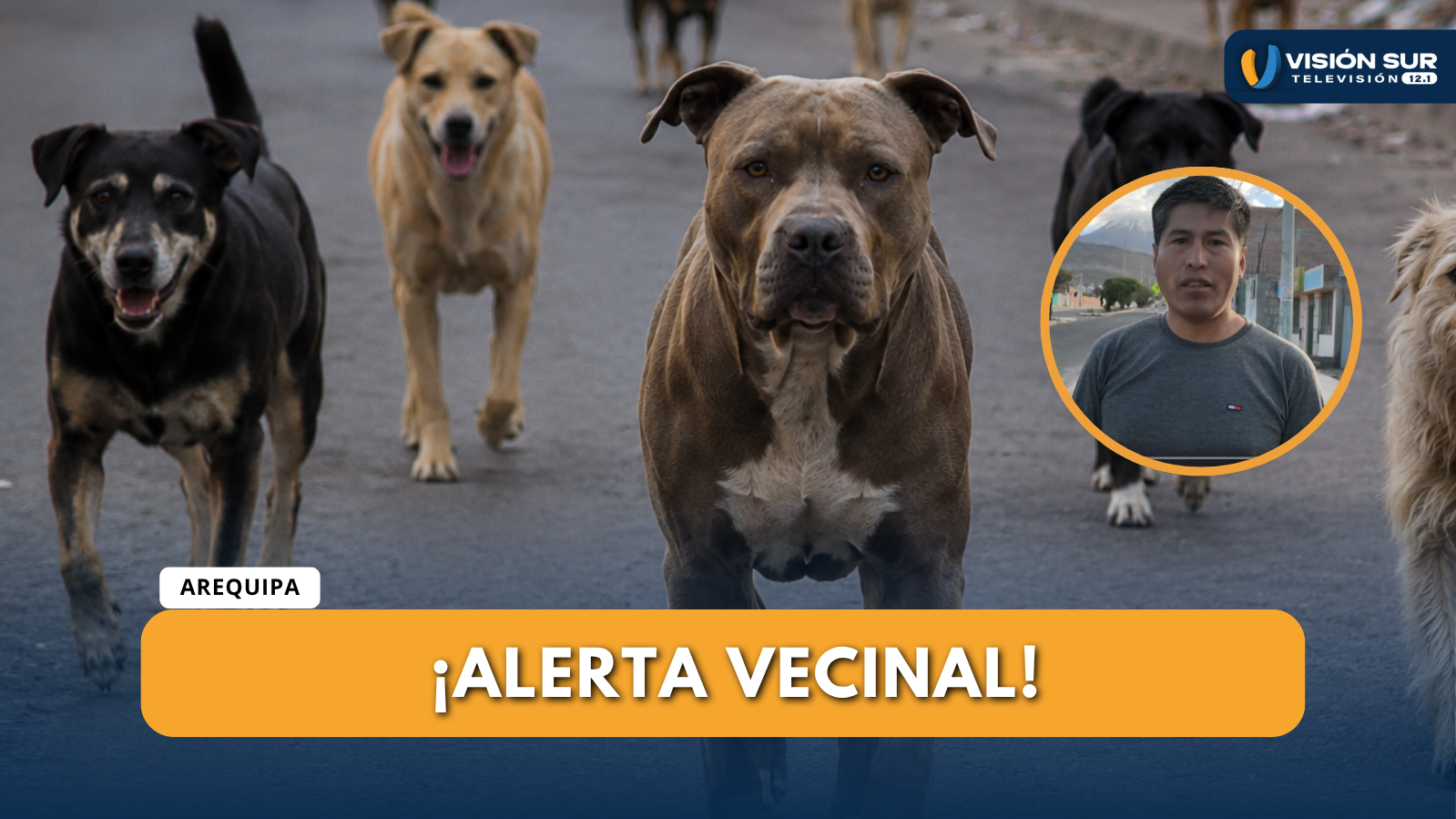 DOS VARONES FUERON ATACADOS POR UN PERRO EN SOR ANA DE LOS ÁNGELES EN CERRO COLORADO